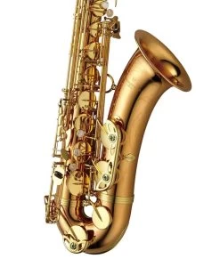 Barnes & Mullins Yanagisawa TWO2 - Tenor Saxophone - Bronze -Saxophone Store yanagisawa two2 tenor saxophone bronze 346232