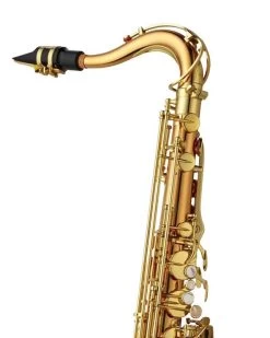 Barnes & Mullins Yanagisawa TWO2 - Tenor Saxophone - Bronze -Saxophone Store yanagisawa two2 tenor saxophone bronze 558562