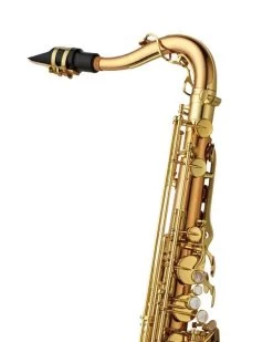 Barnes & Mullins Yanagisawa TWO20 - Tenor Saxophone - Bronze -Saxophone Store yanagisawa two20 tenor saxophone bronze 597031